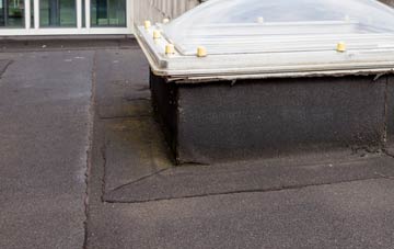 disadvantages of Welsh Newton flat roofs
