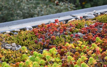 the cost of Welsh Newton green roof installation