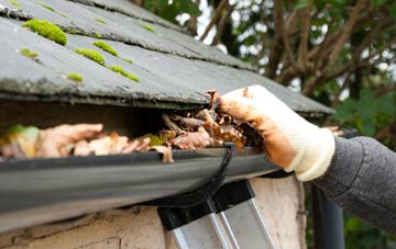 gutter cleaning Welsh Newton, Herefordshire