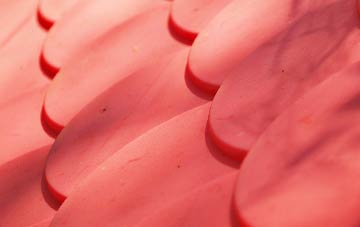 Welsh Newton plastic roof costs