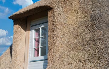 Welsh Newton thatch roof disadvantages